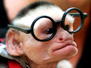 professeur!